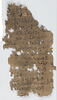 papyrus, image 4/4