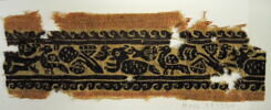 clavus ; fragment, image 2/2
