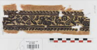 clavus ; fragment, image 1/2