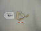 perle ; collier, image 1/2