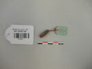 perle ; collier, image 1/2