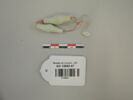 collier ; perle, image 1/2