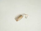 collier ; perle, image 2/2