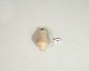 collier ; perle, image 2/2