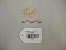 collier ; perle, image 1/2