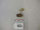 cachet ; perle, image 1/18
