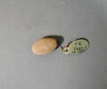 cachet ; perle, image 14/18