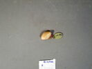 cachet ; perle, image 16/18