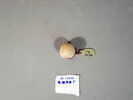 cachet ; perle, image 6/17