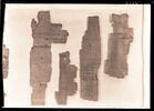 papyrus documentaire, image 5/18