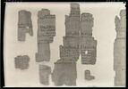 papyrus documentaire, image 7/18