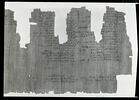 papyrus documentaire, image 15/18