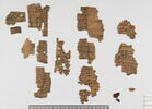 papyrus documentaire, image 3/18