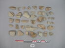 vase, image 1/5