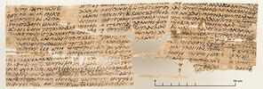 papyrus documentaire, image 1/2