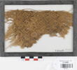 tissu ; fragment, image 1/2