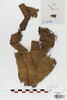 tissu ; fragment, image 1/2