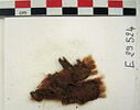 bande décorative d'habillement ; fragment, image 2/2