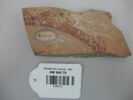 vase ; fragment, image 2/2