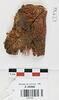 bande décorative d'habillement ; fragment, image 1/2