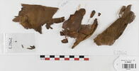 décor de textile ; fragments, image 1/2
