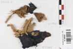 bande décorative d'habillement ; fragments, image 1/2