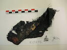 bande décorative d'habillement ; fragments, image 2/2