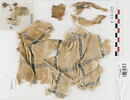 tissu ; fragments ; fragments, image 1/2