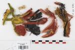 décor de textile ; fragments, image 1/2
