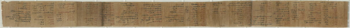 papyrus documentaire, image 2/4