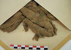 tissu ; fragments, image 2/2
