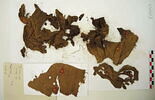 décor de textile ; fragments, image 2/2