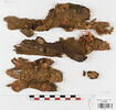 décor de textile ; fragments, image 1/2