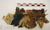 clavus ; fragment, image 2/2