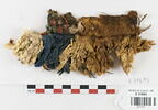 clavus ; fragment, image 1/2