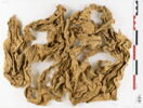 tissu ; fragment, image 1/2