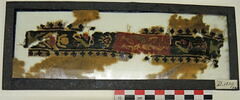 clavus ; fragment, image 2/2