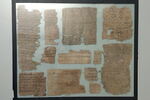 papyrus, image 2/2
