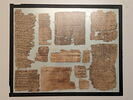 papyrus, image 1/2