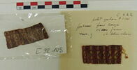 bande décorative d'habillement ; fragments, image 2/2
