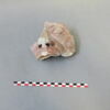 sculpture, fragment, image 1/4