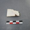 reste animal coquillage, fragment, image 2/2