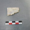 reste animal coquillage, fragment, image 1/2