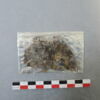 objet indéterminé, fragment, image 1/2