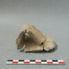 vase, récipient, fragment, image 2/2