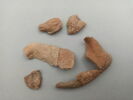 figurine animale, fragment, image 1/3