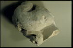 Fragment de pinacle, image 2/2