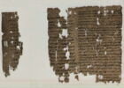 papyrus, image 1/3