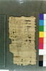 papyrus, image 1/2