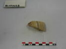 vase, image 3/8